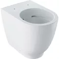 Geberit Acanto Stand-WC Tiefspüler, erhöht, wandbündig, geschlossene Form, Rimfree